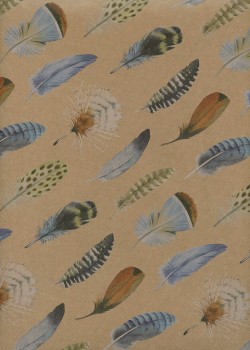 Planche de plumes colorées fond kraft brun (68x98)