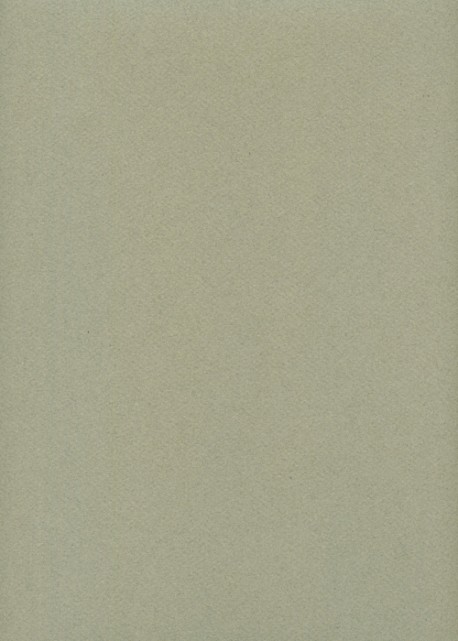 Mi-teintes n°431 gris chiné (50x65)