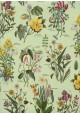 Planche botanique fond vert tendre (70x100)