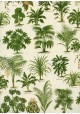 Les plantes vertes (70x100)