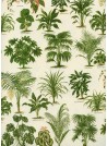 Les plantes vertes (70x100)