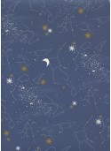 La nuit des étoiles (70x100)