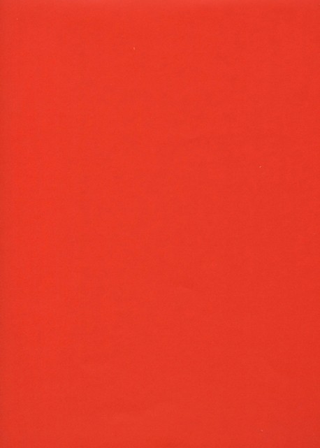 Simili cuir "Tonic" rouge feu (50x65)