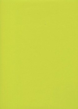 Simili cuir "Tonic" citron vert (50x65)