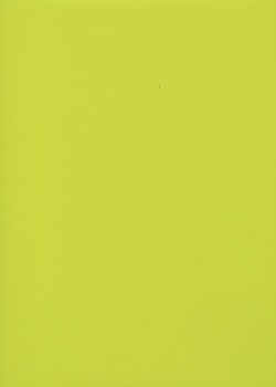 Simili cuir "Tonic" citron vert (50x65)