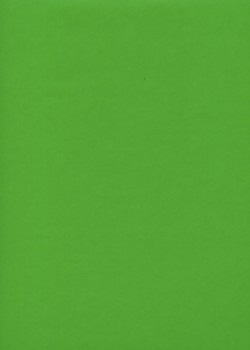 Simili cuir "Tonic" vert prairie (50x65)