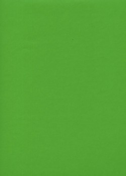 Simili cuir "Tonic" vert prairie (50x65)