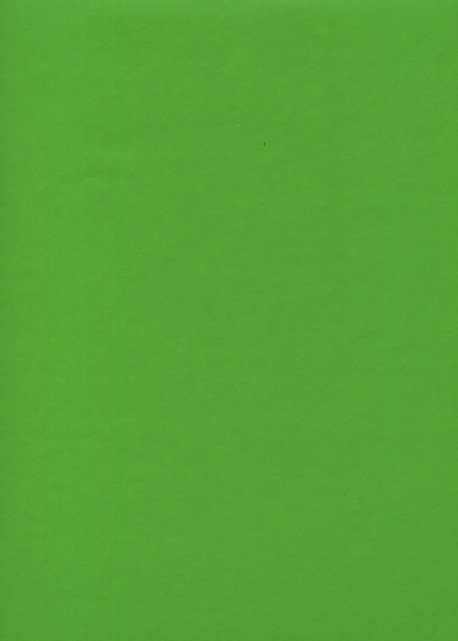 Simili cuir "Tonic" vert prairie (50x65)