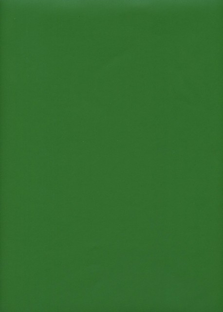 Simili cuir "Tonic" citron gazon (50x65)