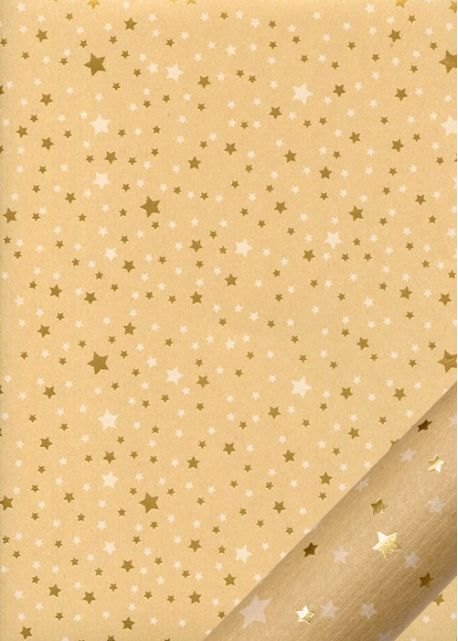 Pluie d'étoiles blanches et or fond kraft (48x68)