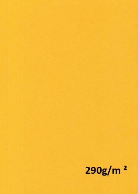 Papier A4 "vivaldi 290g" jaune vif (21x29.7)