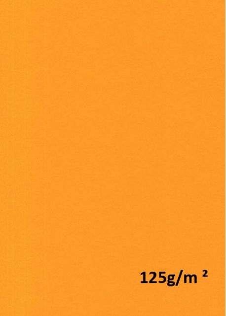 Papier A4 "vivaldi 125g" mandarine (21x29.7)
