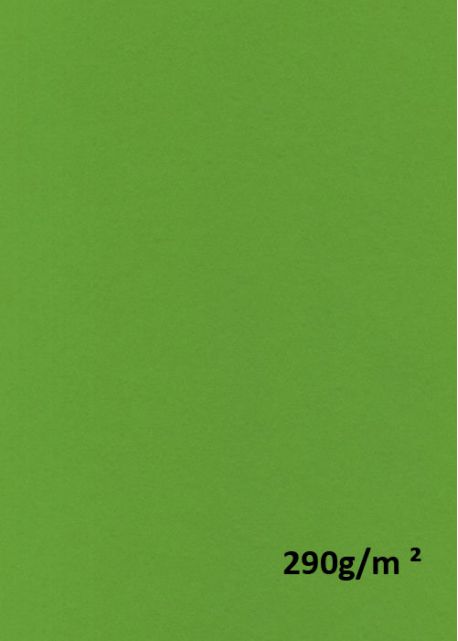 Papier A4 "vivaldi 290g" vert pré (21x29.7)
