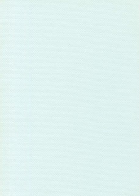 Papier uni A4 'Canson - Mi-Teintes' Gris chiné N°431 - La Fourmi