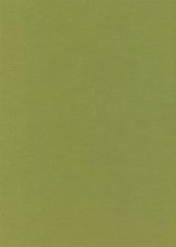 Papier A4 Canson "Mi-teintes" 160G vert pomme (21x29.7)