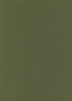 Papier A4 Canson "Mi-teintes" 160G vert océan (21x29.7)