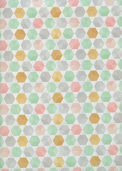 Les hexagones ton pastel (50x70)