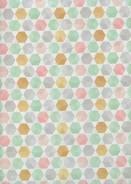 Les hexagones ton pastel (50x70)