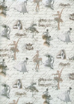 La danse classique sur fond d'écritures (50x70)