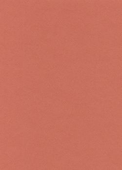 Papier A4 Canson "Mi-teintes" 160G terre rouge (21x29.7)