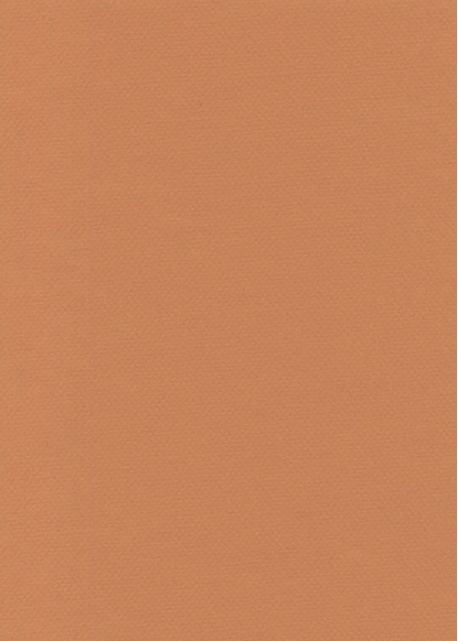 Papier A4 Canson "Mi-teintes" 160G terre de sienne (21x29.7)
