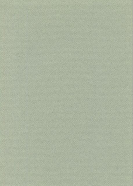 Papier A4 Canson "Mi-teintes" 160G gris ciel (21x29.7)