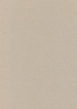 Papier A4 Canson "Mi-teintes" 160G gris clair (21x29.7)