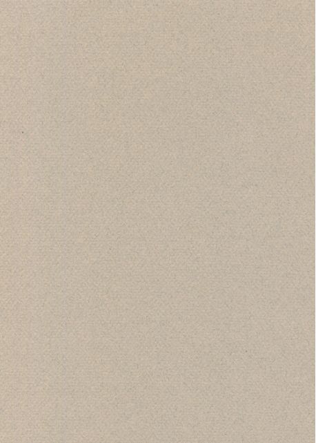 Papier A4 Canson "Mi-teintes" 160G gris clair (21x29.7)