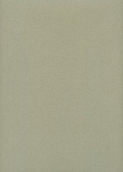 Papier A4 Canson "Mi-teintes" 160G gris chiné (21x29.7)