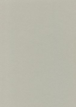 Papier A4 Canson "Mi-teintes" 160G gris flanelle (21x29.7)