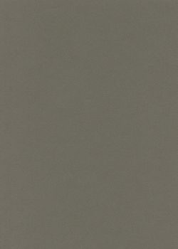 Papier A4 Canson "Mi-teintes" 160G gris ardoise (21x29.7)