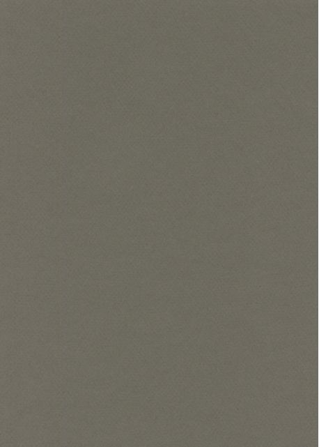 Papier A4 Canson "Mi-teintes" 160G gris ardoise (21x29.7)