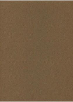 Papier A4 Canson "Mi-teintes" 160G marron foncé (21x29.7)