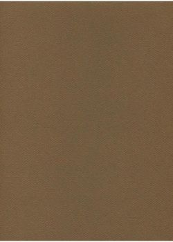 Papier A4 Canson "Mi-teintes" 160G marron foncé (21x29.7)