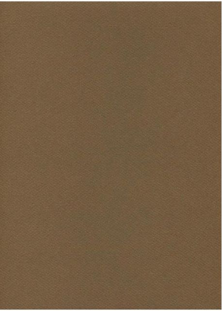 Papier A4 Canson "Mi-teintes" 160G marron foncé (21x29.7)