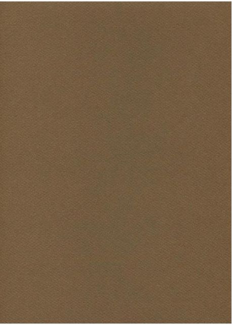 Papier A4 Canson "Mi-teintes" 160G marron foncé (21x29.7)