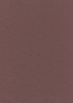 Papier A4 Canson "Mi-teintes" 160G lie de vin (21x29.7)