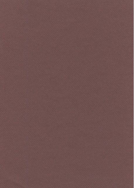 Papier A4 Canson "Mi-teintes" 160G lie de vin (21x29.7)
