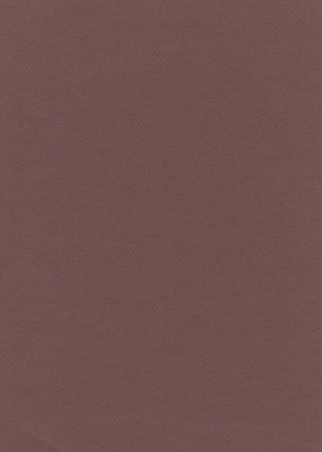 Papier A4 Canson "Mi-teintes" 160G lie de vin (21x29.7)