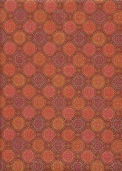 Véritable Kyo-koromo (48x65) N°02-5