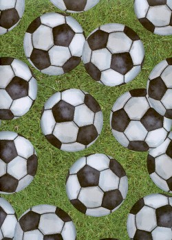 Les ballons de football (68,5x98)