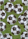 Les ballons de football (48x68)