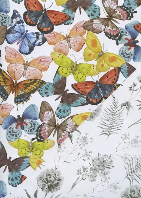 Recto verso "Papillons multicolores / feuillage gris fond blanc" (68x98)