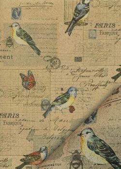Cartes postales et oiseaux fond beige (50x70)