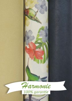 HARMONIE TRIO Les colibris