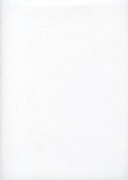 Véritable kumo blanc (54x80)