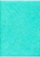 Papier lokta plumetis or fond turquoise (50x75)