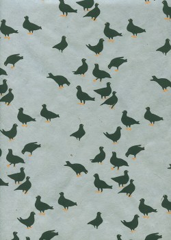 Lokta les pigeons sur fond bleu gris (50x75)