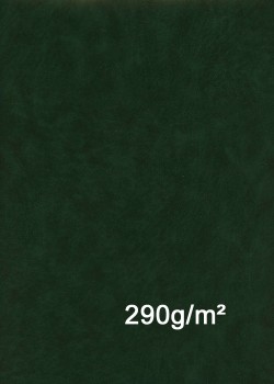 Papier imitation cuir "lisse" vert foncé 290g/m² (50X65)