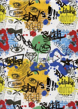 Les graffitis (50x68)